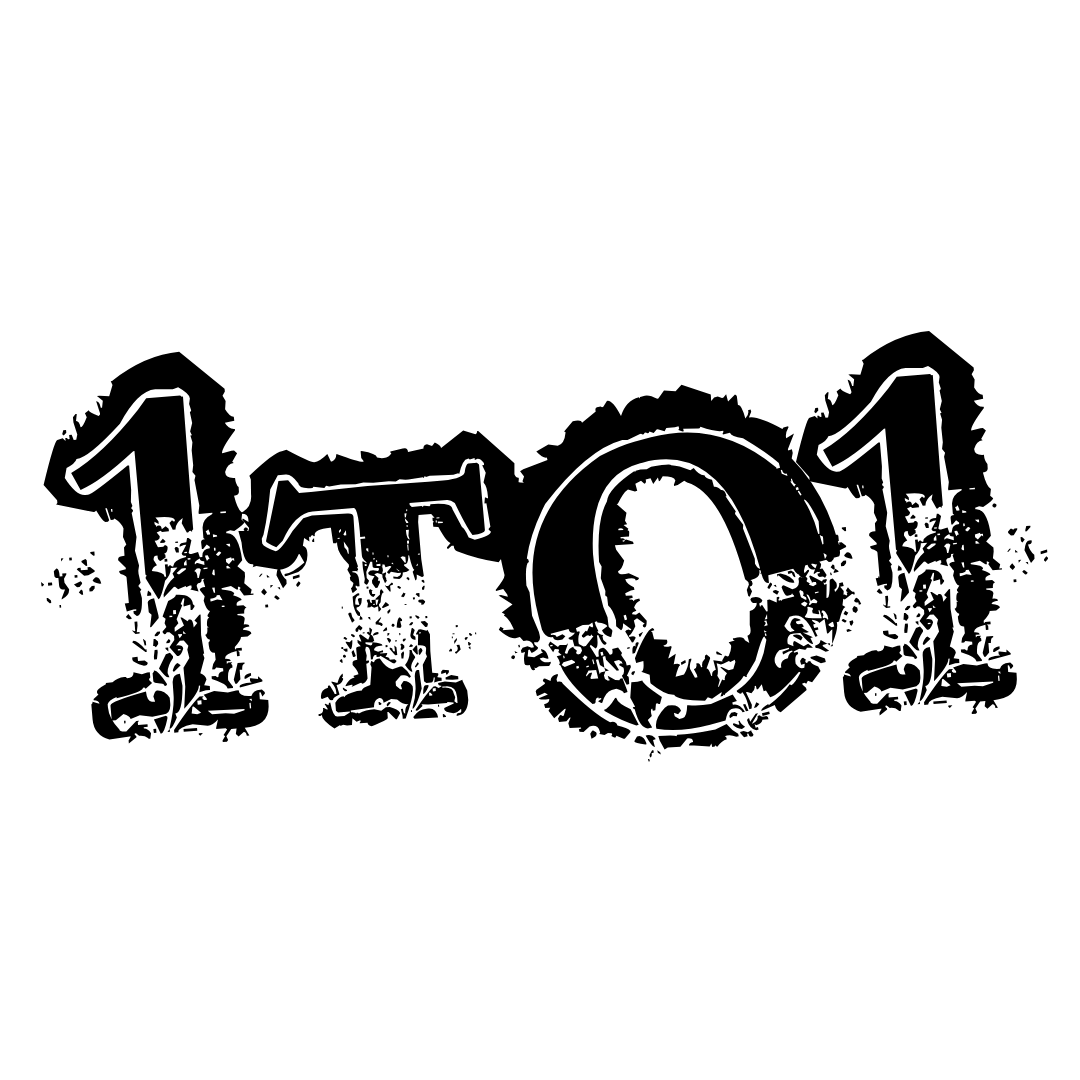 1TO1