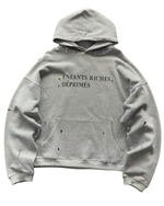 ERD GREY HOODIE