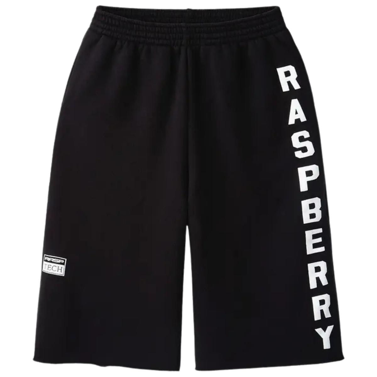 Raspberry Logo Shorts in black